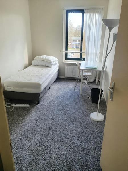 Kamer te huur in Amsterdam – Aaf Bouberstraat – foto 1