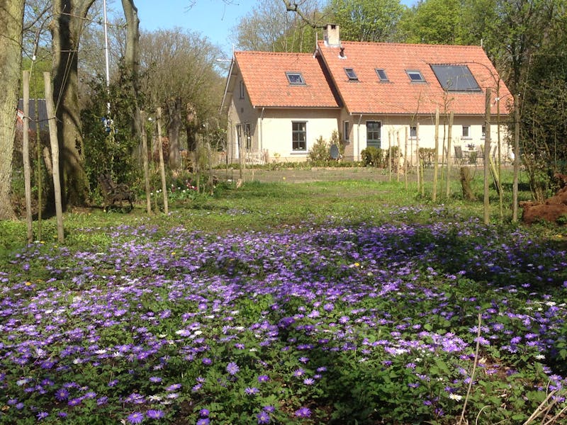 Kamer te huur in Oostvoorne – Heveringseweg – foto 1