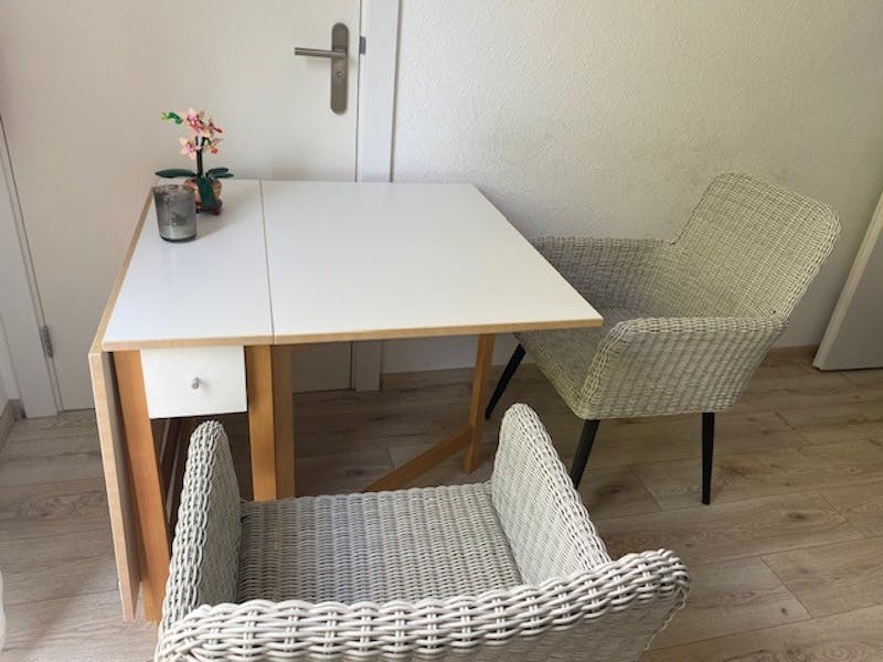 Appartement te huur in Hillegom – 1e Loosterweg – foto 4