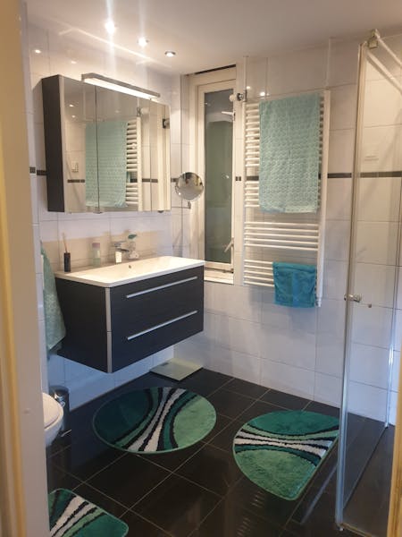 Kamer te huur in Rotterdam – Theeroos – foto 2
