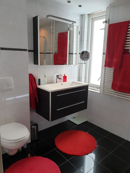 Kamer te huur in Rotterdam – Theeroos – foto 2