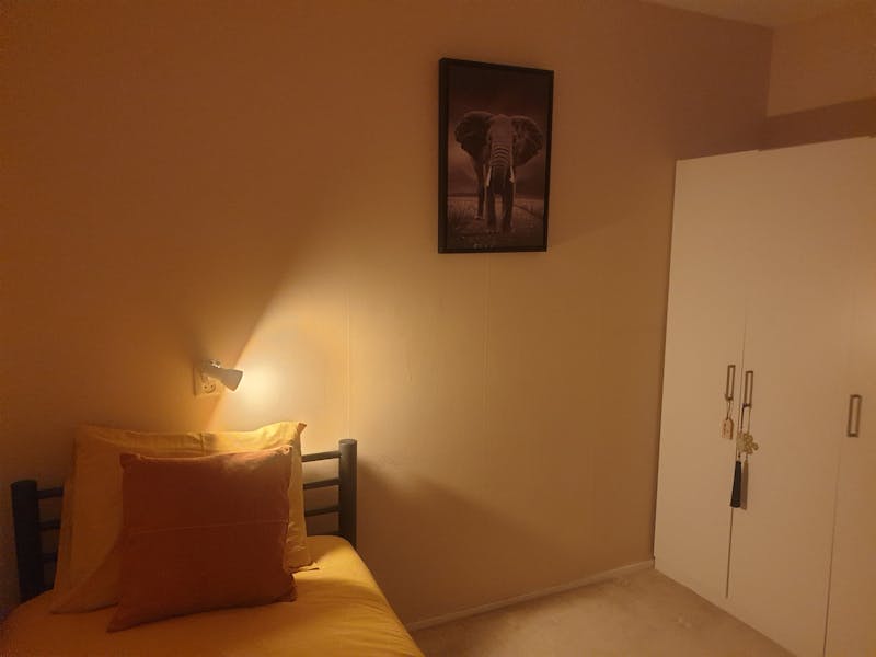 Kamer te huur in Rotterdam – Theeroos – foto 4