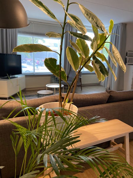 Appartement te huur in Rotterdam – Stationssingel – foto 4