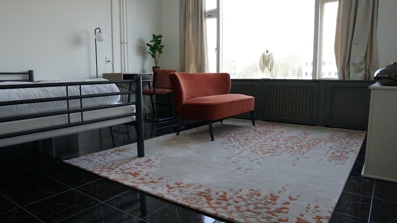 Kamer te huur in Rotterdam – Van Swietenlaan – foto 1