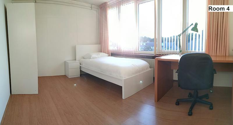 Kamer te huur in Rotterdam – Paardebloem – foto 1