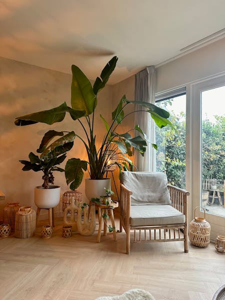 Huis te huur in Zaandijk – Domineestuin – foto 3