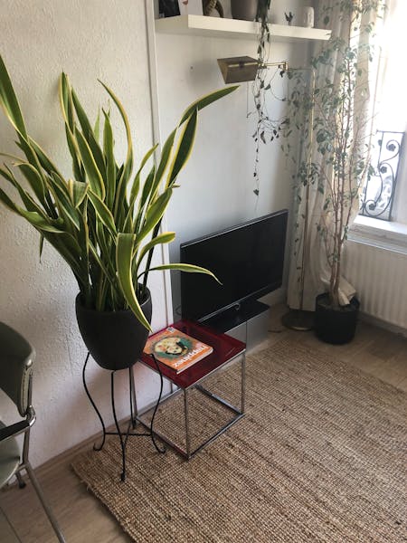 Kamer te huur in Rotterdam – Abraham Kuyperlaan – foto 4