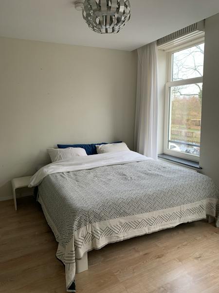 Kamer te huur in Rotterdam – Essenburgsingel – foto 1