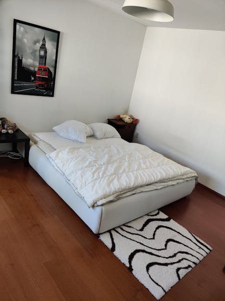 kamer te huur in Maastricht