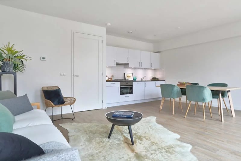 Appartement te huur in Amsterdam – Pieter Cornelisz Hooftstraat – foto 3
