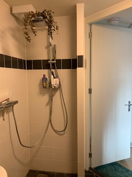 Appartement te huur in Amsterdam – Westerpark – foto 4