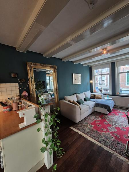 Huis te huur in Amsterdam – Nieuwe Spiegelstraat – foto 1