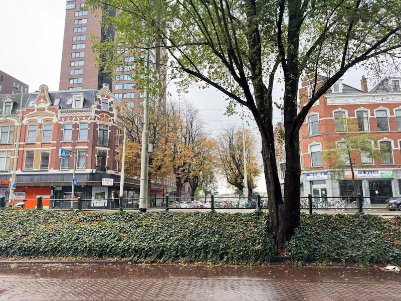 Appartement te huur in Rotterdam – Oostzeedijk Beneden – foto 4