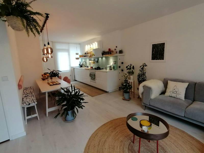 Kamer te huur in Rotterdam – Meester Marrestraat – foto 3