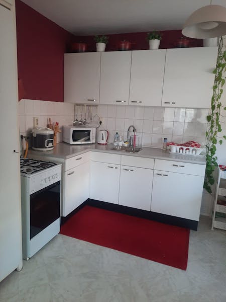 Kamer te huur in Rotterdam – Persoonshaven – foto 4