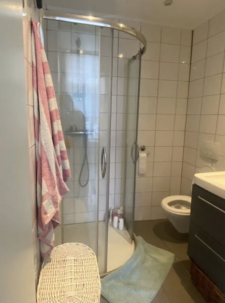 Kamer te huur in The Hague – Westlandsestraat – foto 4