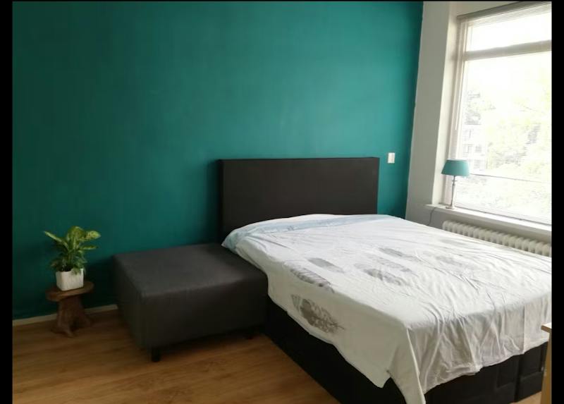 Kamer te huur in Rotterdam – De Lairesselaan – foto 1