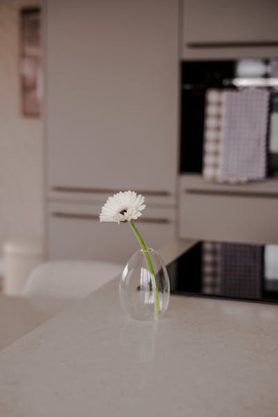 Appartement te huur in Rotterdam – Mathenesserlaan – foto 4