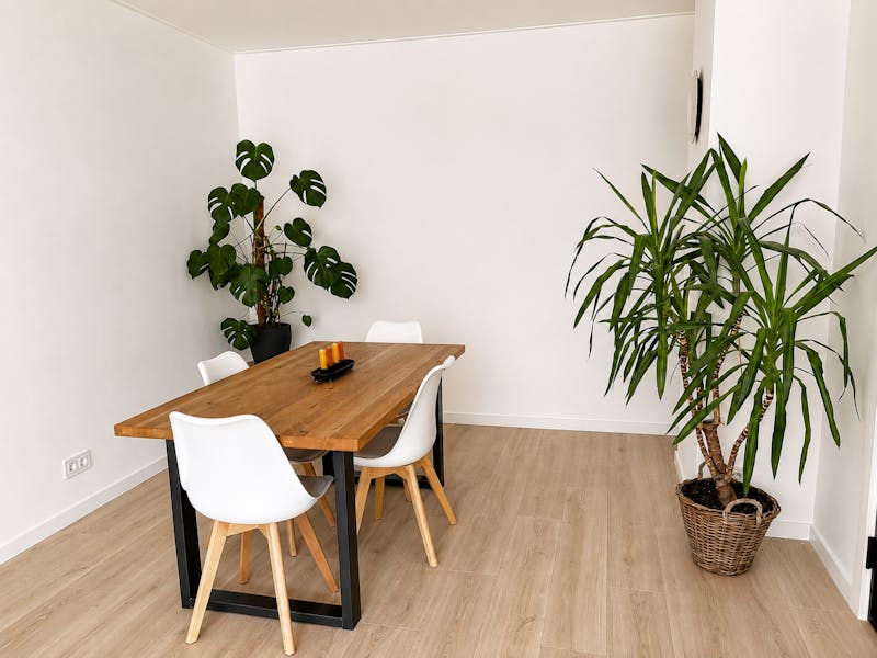 Appartement te huur in Rotterdam – Stadhoudersweg – foto 4