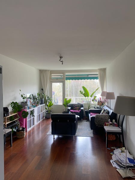 Kamer te huur in Amsterdam – Hogevecht – foto 1