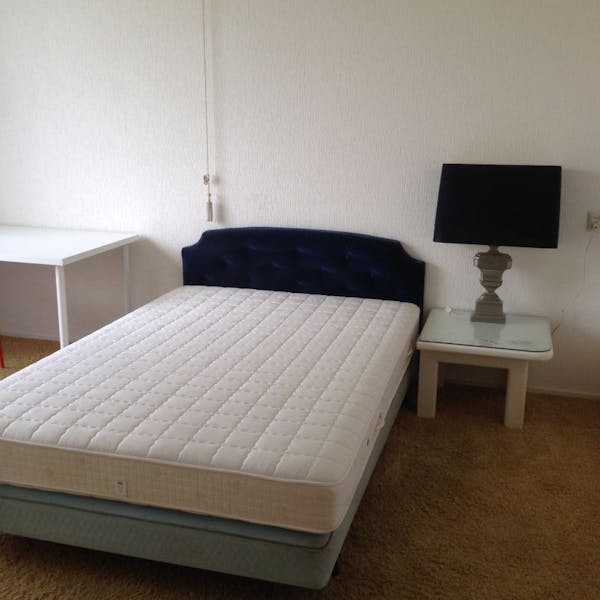 Kamer te huur in Rotterdam – 's-Gravensingel – foto 1