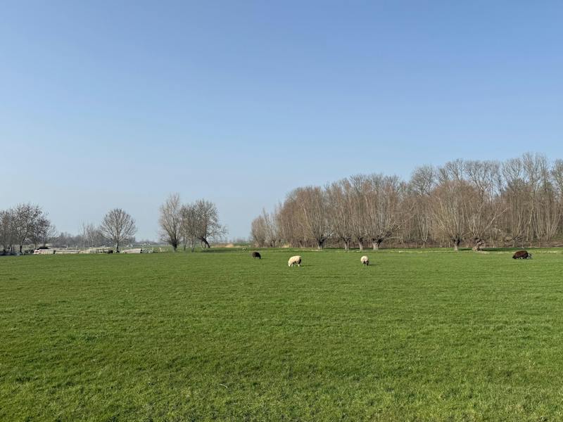 Huis te huur in Abcoude – Winkeldijk – foto 4