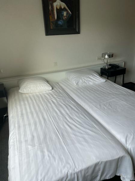 kamer te huur in The Hague