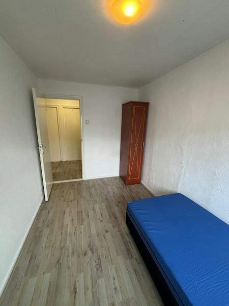 Huis te huur in Westpunt – Lauernessestraat – foto 3
