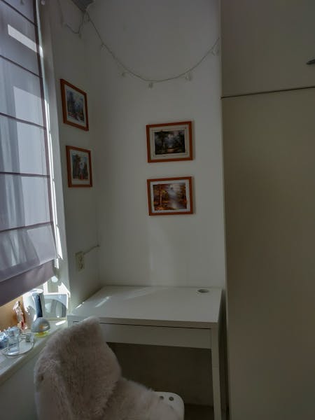 Kamer te huur in Rotterdam – Alexandriëstraat – foto 3