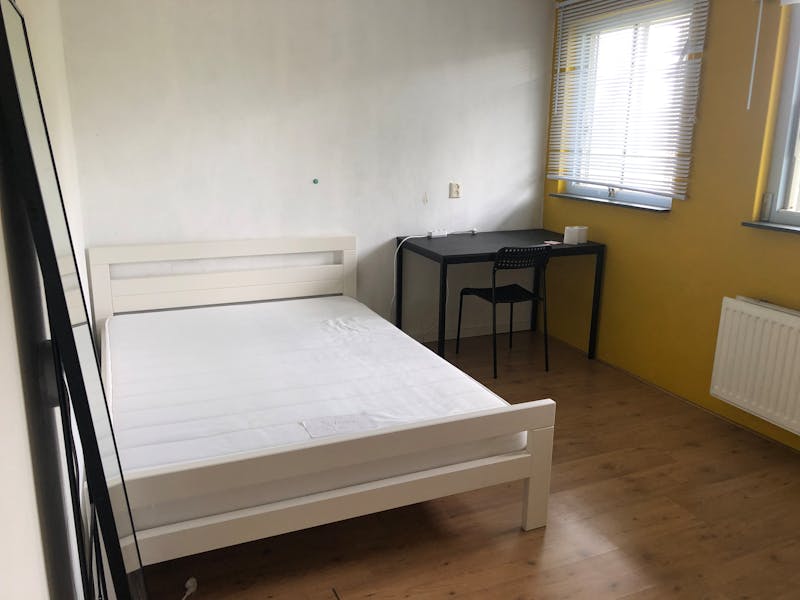 Kamer te huur in Rotterdam – Snelfilterweg – foto 1
