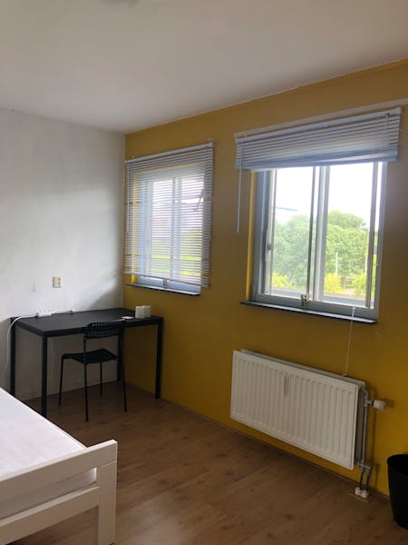 Kamer te huur in Rotterdam – Snelfilterweg – foto 2