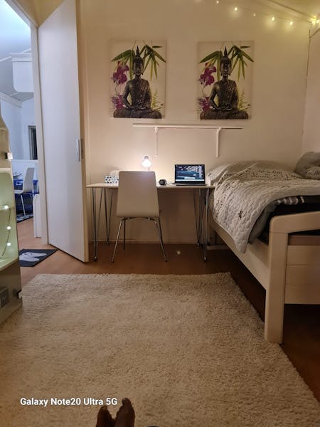 kamer te huur in The Hague