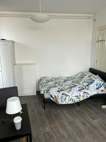 Kamer te huur in Rotterdam – Henegouwerlaan – foto 3